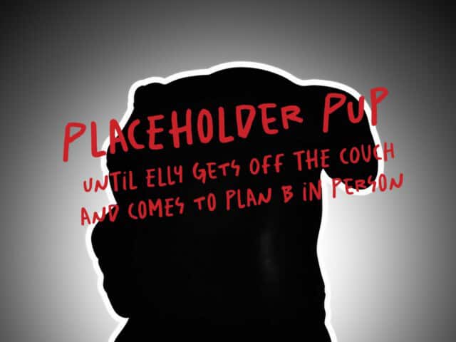 elly dog without image placeholder pup