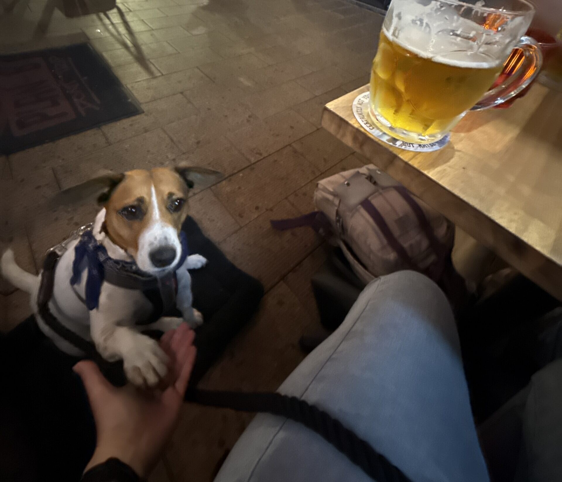 Hound: Finn